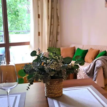 Patrick's - Sunny Apartamento